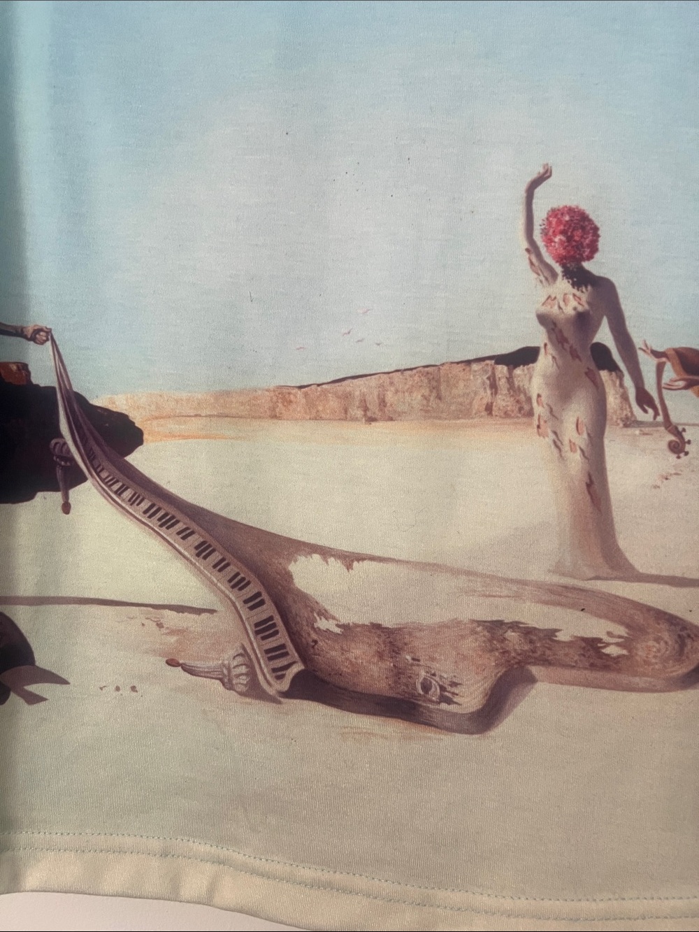 Dali light Blue Long-Sleeve Graphic Tee with Desert Print - museum piece - Picture 3 of 8